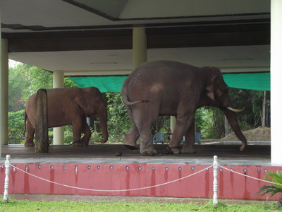 Yangon