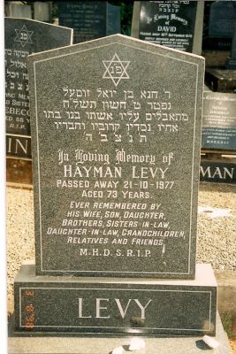 Hayman Levy