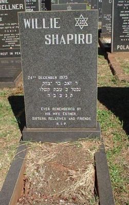 Willie Shapiro