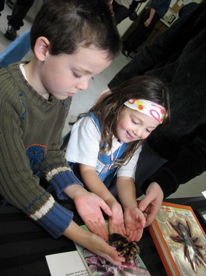 |Maayan with pet tarantula