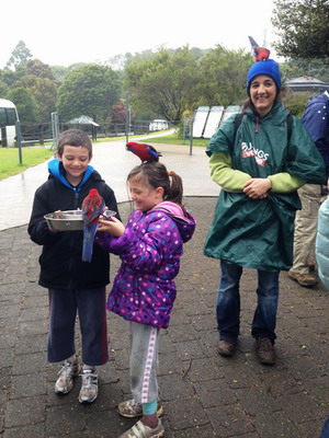 Maayan feeding parrot