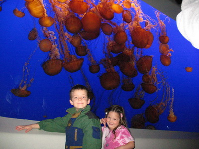 at the Monterey Aquarium