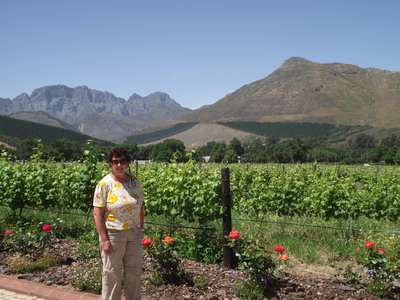 wine route