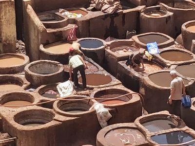 Fez tannery