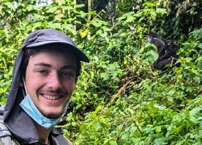 Gorilla viewing