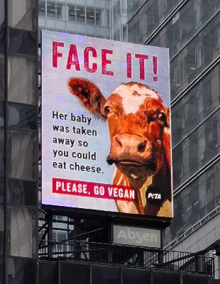 vegan