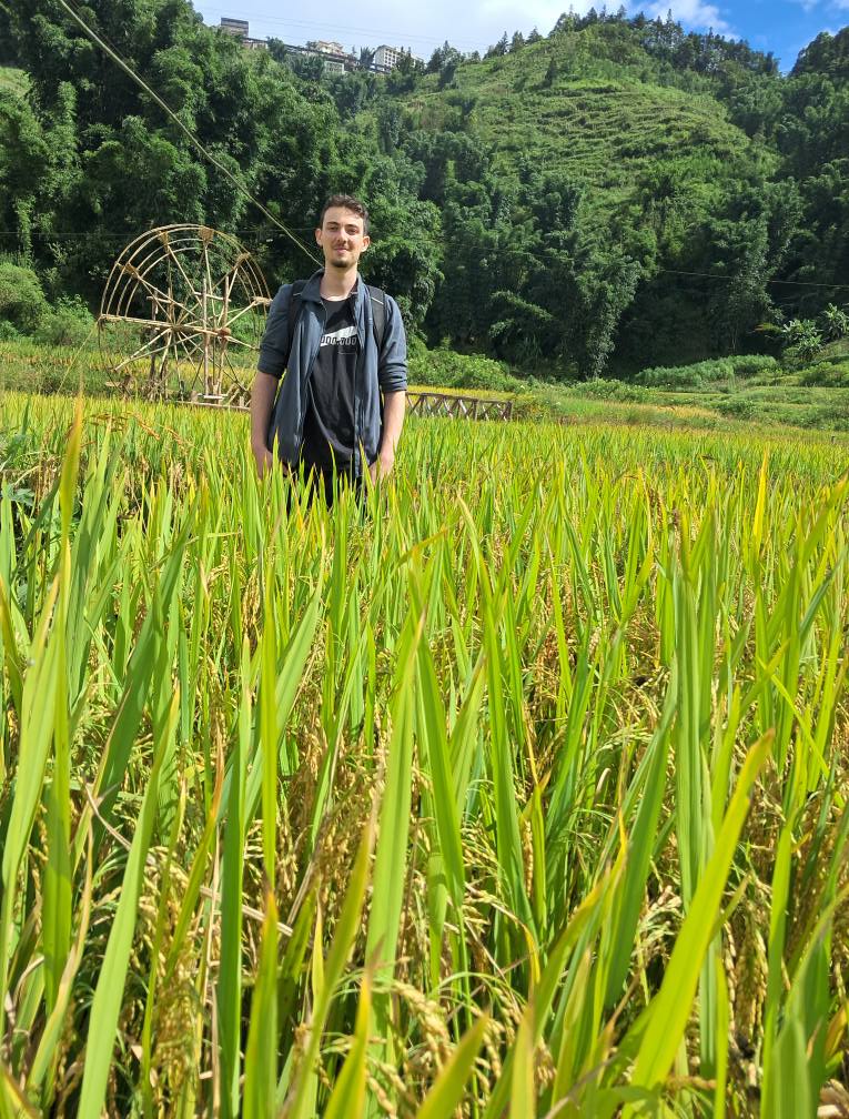Segoli Vietman