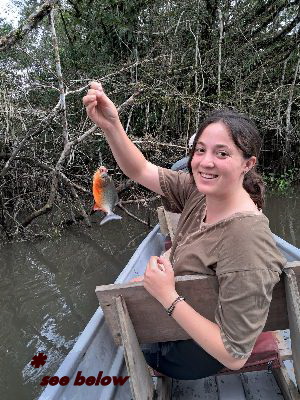 piranha
