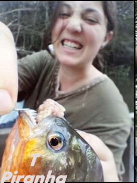 piranha