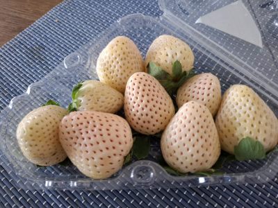 strawberries