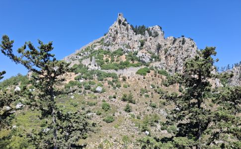 TurkCyprus