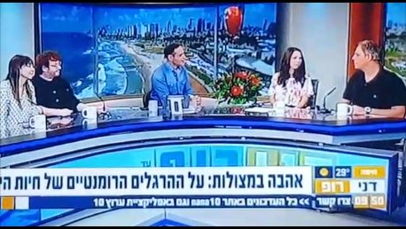 Aviv on TV