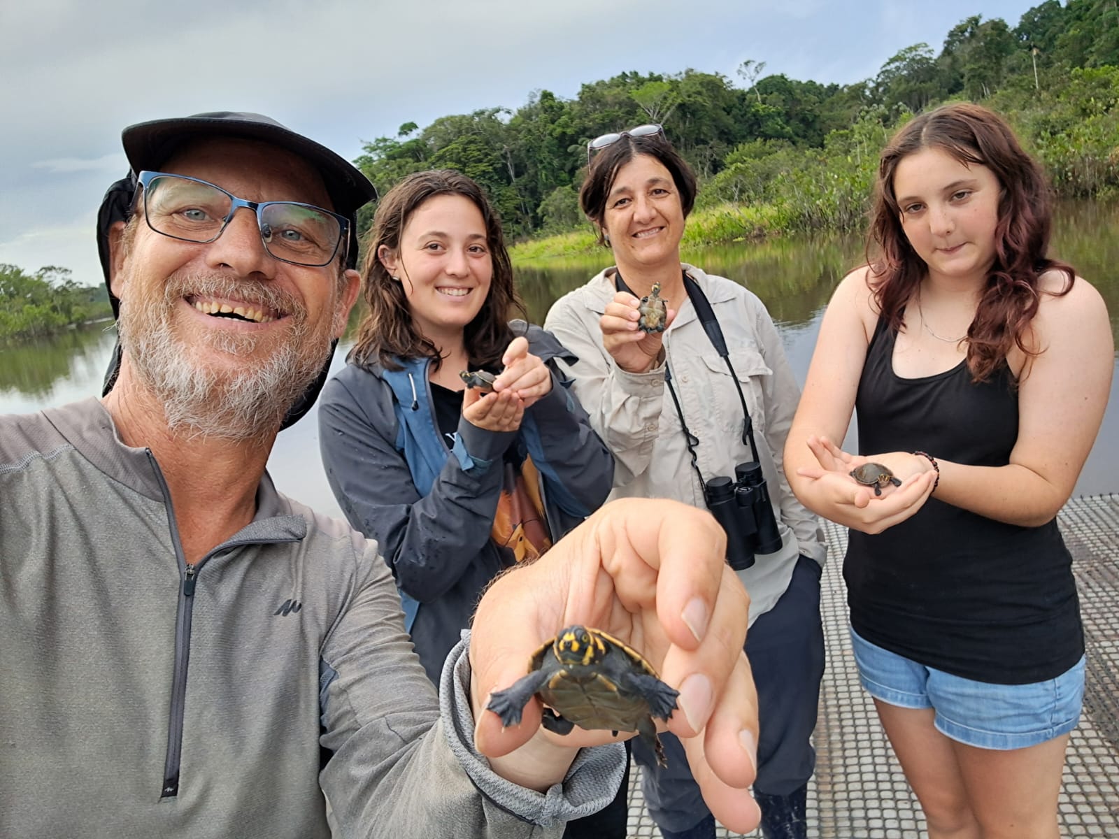 release turtles
