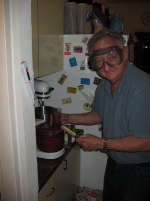 pesach 2009