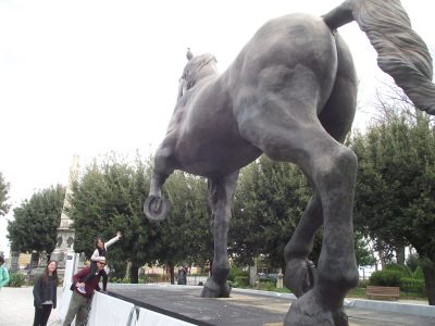 horse Montepulciano