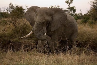 Family Reunion in South Africa 2010