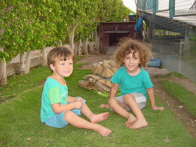 Maayan - Yom Kippur 2006