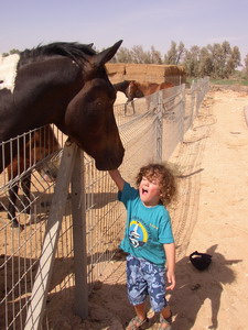 Itamar - Yom kippur 2006